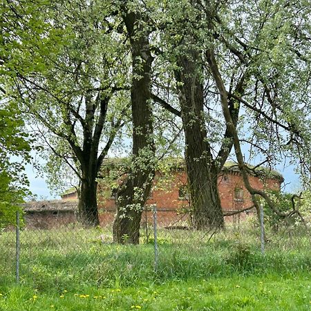 Studio Modlin Nowy Dwor Mazowiecki Exterior photo