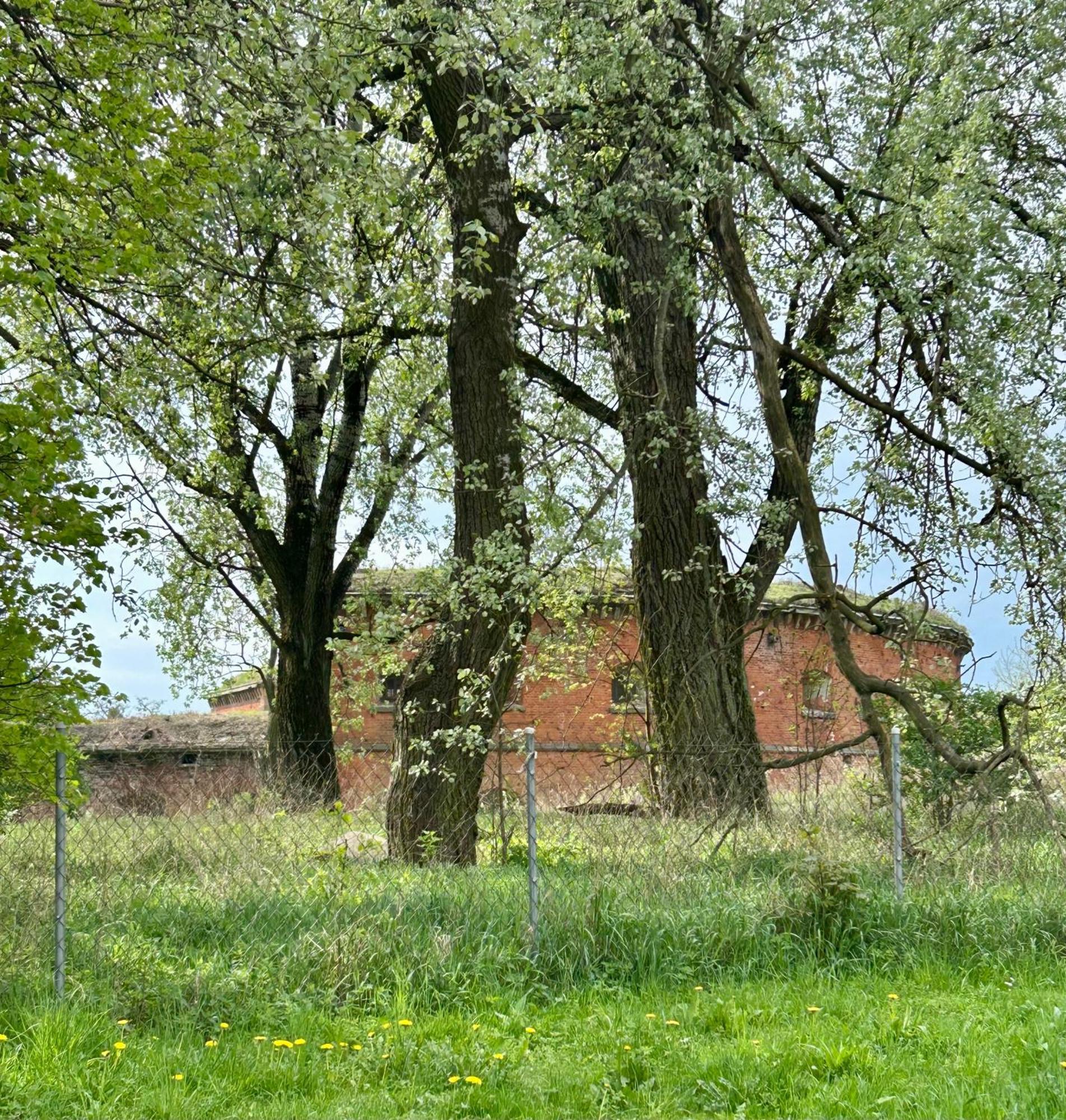 Studio Modlin Nowy Dwor Mazowiecki Exterior photo